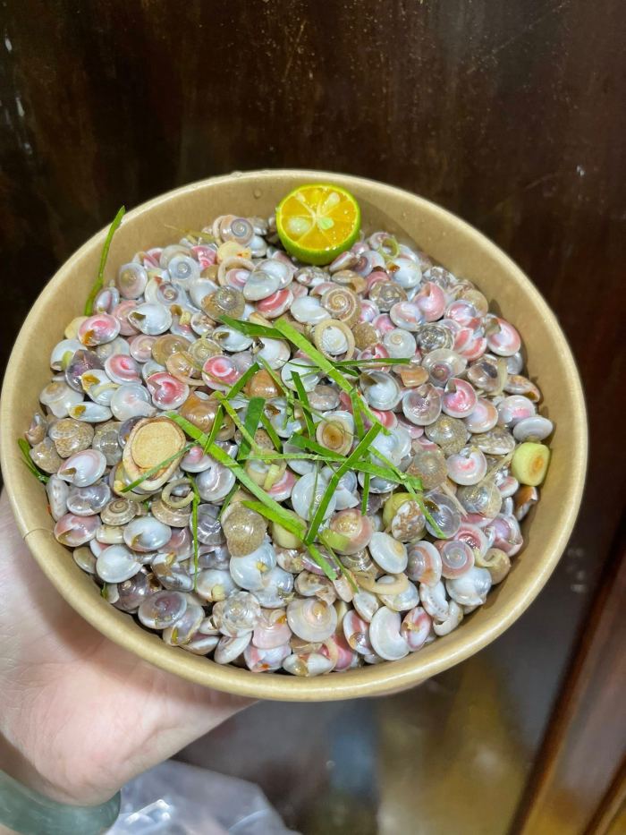 ốc lễ Đà Nẵng