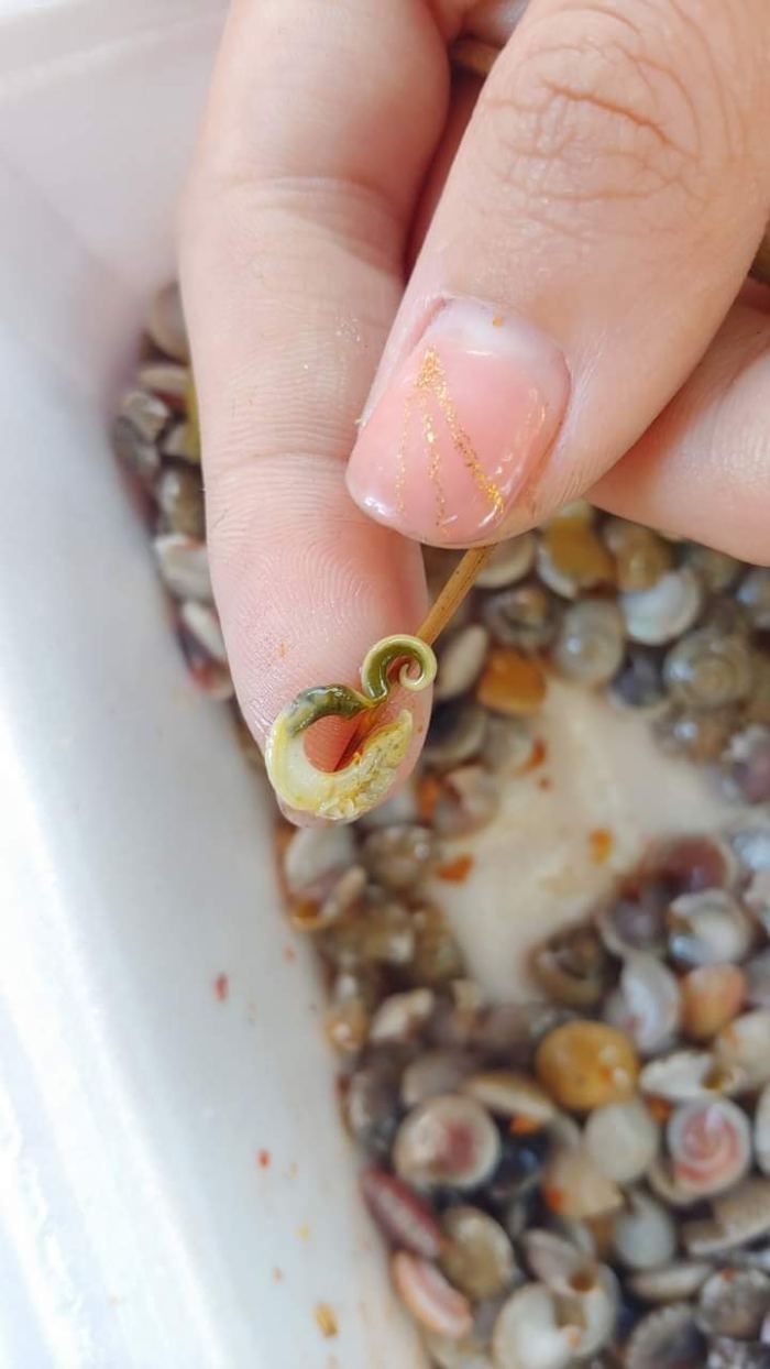 ốc lễ Đà Nẵng