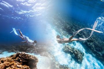 Bỏ túi kinh nghiệm lặn ngắm san hô ở Phú Quý: Chạm vào giấc mơ đại dương