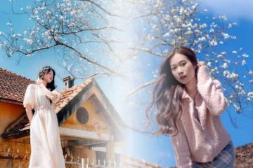 Review chi tiết mùa hoa ban Đà Lạt cực thơ giữa xứ hoa