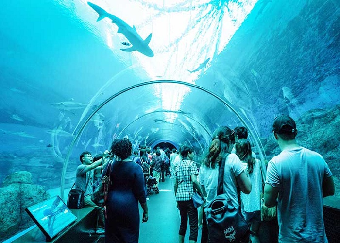ThYy-Cung-SEA-Aquarium