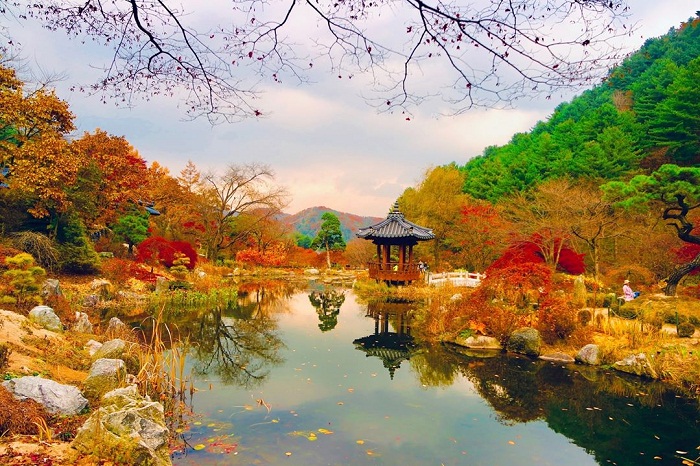 List 5 địa điểm đẹp ở Hàn Quốc nhất định phải đi 1 lần trong đời