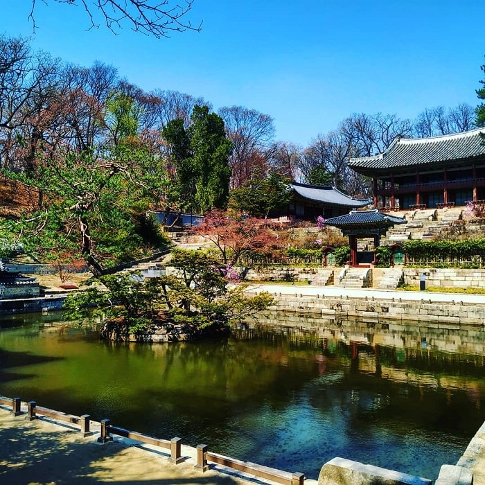 5 địa điểm lý tưởng ngắm lá phong đỏ mùa thu tại Seoul Hàn Quốc
