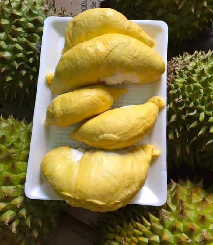 Du lịch vườn sầu riêng 2