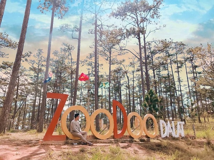 Sở thú ZooDoo Đà Lạt – điểm đến mới lạ của thành phố ngàn hoa