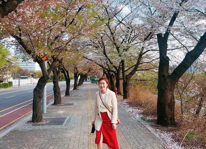 Khám phá vẻ đẹp của công viên Yeoudio Seoul 