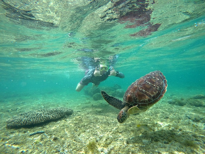 Kinh nghiệm du lịch đảo Apo Philippines - khu bảo tồn biển nổi tiếng thế giới