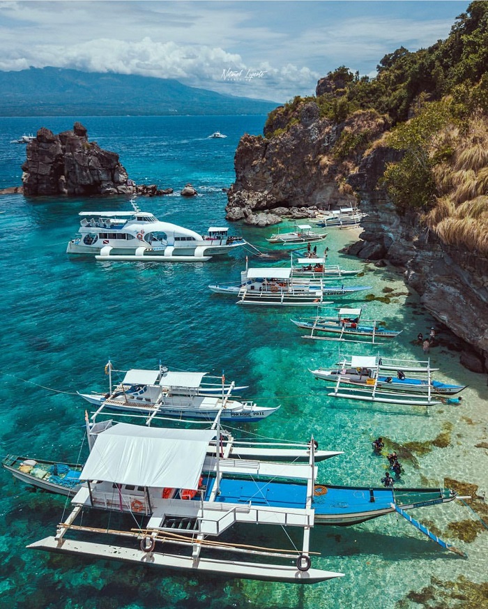 Kinh nghiệm du lịch đảo Apo Philippines - khu bảo tồn biển nổi tiếng thế giới