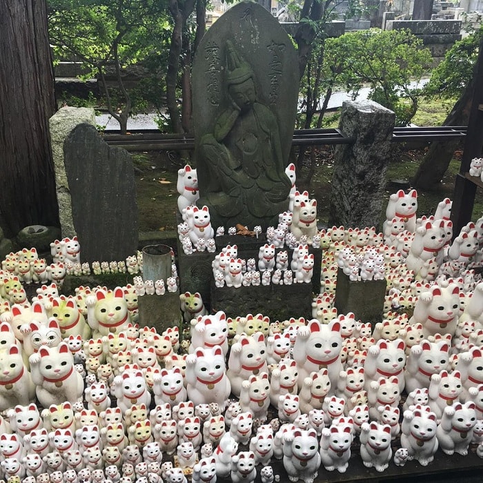 Ghé thăm đền Gotokuji Tokyo - xứ sở của những chú mèo may mắn