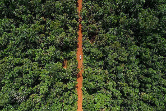 Rừng nhiệt đới Amazon 