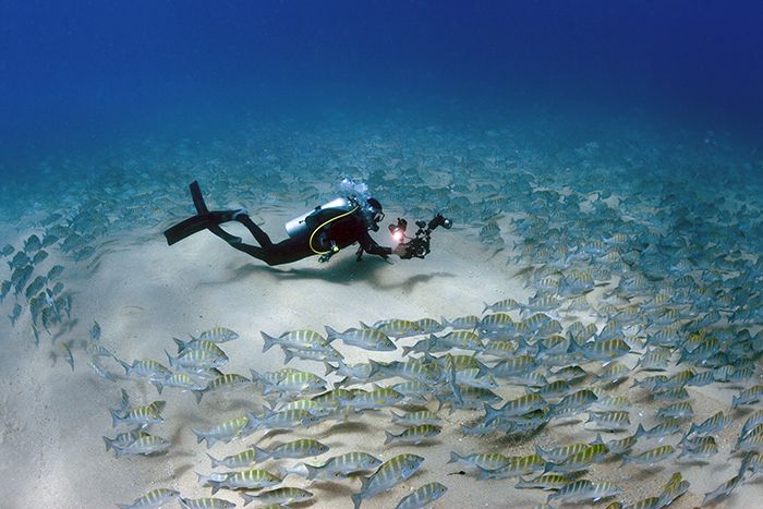 Kỳ lạ mạch nước biển phun ngược tại hang động Bufadora Mexico 