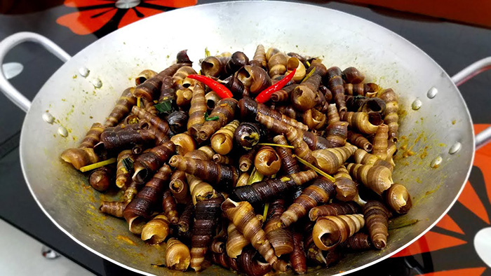 Discover the longest written snail in Vietnam