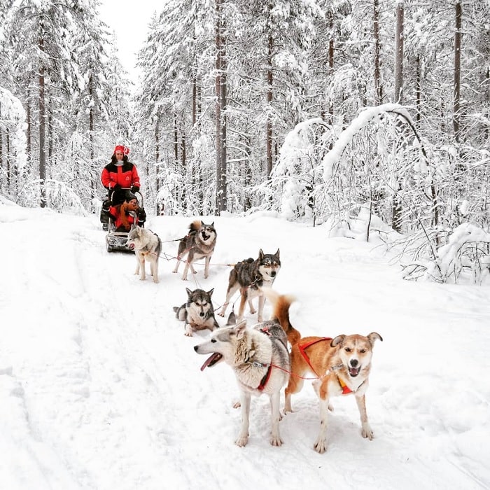 Tất tần tật kinh nghiệm du lịch Phần Lan mới nhất