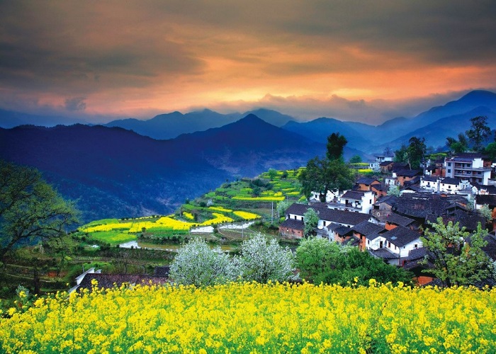 1000+ ảnh nền quê hương đẹp Lưu giữ kỷ niệm