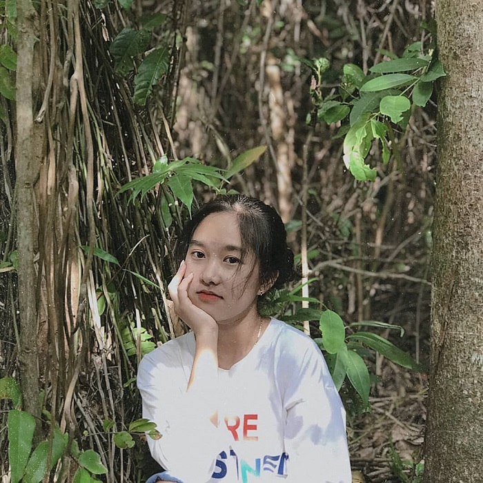 Khám phá khu rừng Bưng Thị hoang sơ ở Bình Thuận