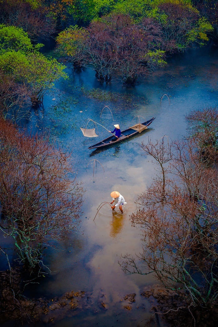 Tận hưởng thế giới bình yên ở rừng ngập mặn Rú Chá xứ Huế