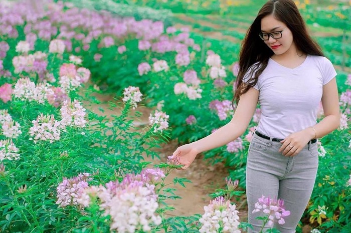 Have fun forgetting the way back in the flower paradise of Quang La