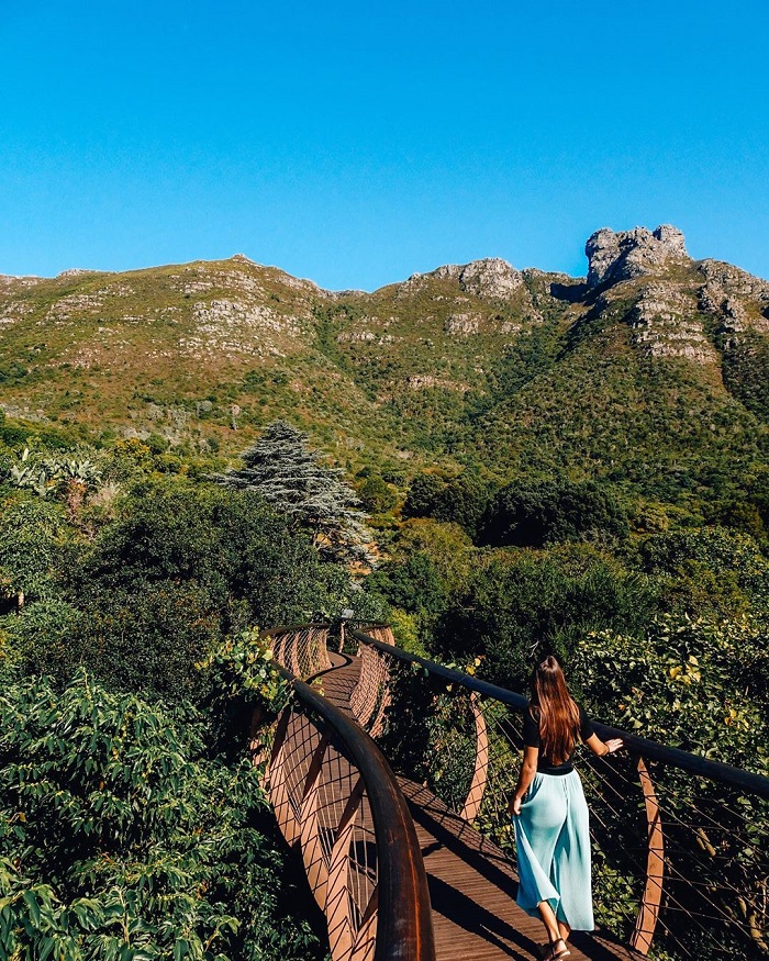'Giắt túi' ngay kinh nghiệm du lịch Núi Bàn Nam Phi mới nhất 