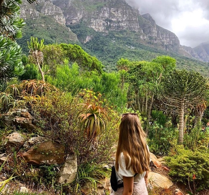 Vườn bách thảo quốc gia Kirstenbosch Nam Phi - lạc vào xứ sở thần tiên đầy màu sắc 