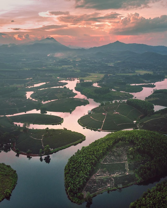 đảo chè Thanh Chương - đồi chè đẹp ở Việt Nam được 'săn lùng' nhiều nhất