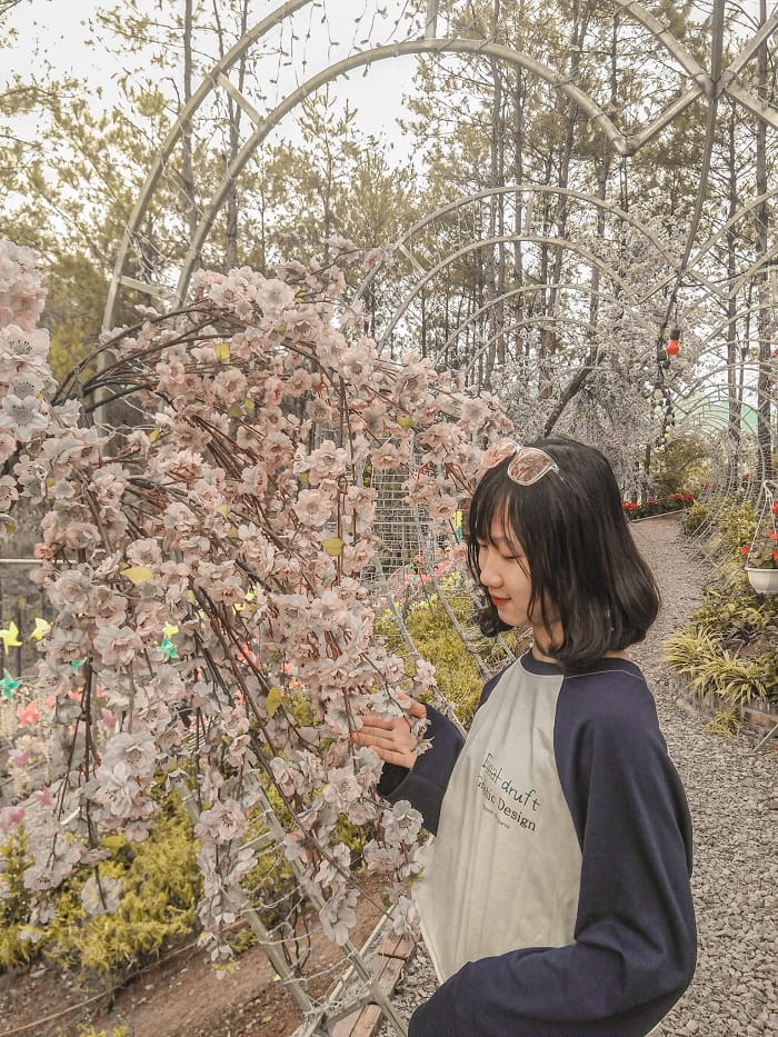 hoa - nét đẹp tại đồi thông Thiên Sơn Thịnh An Gia 