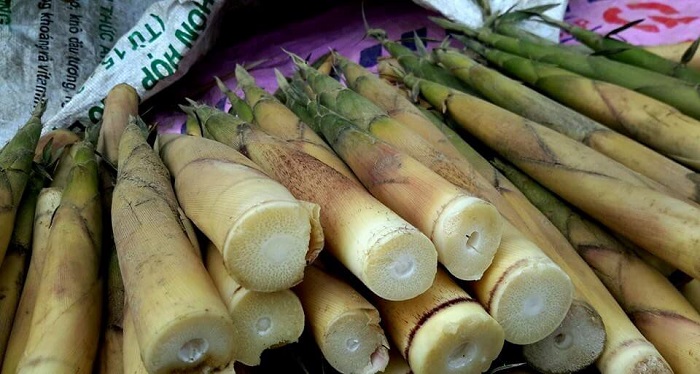 What do you buy as a gift from Lao Cai tourism?  Bitter Bamboo Shoots - Specialties should be bought when coming to Lao Cai