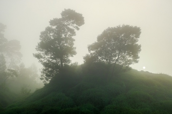 Sương mù dày đặc trên cao nguyên Dieng