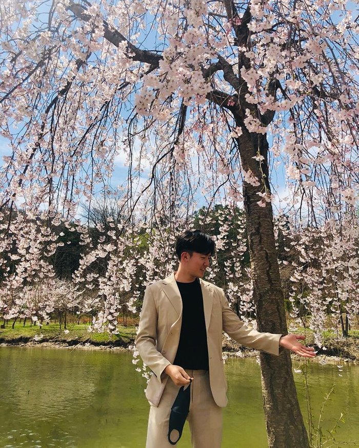 Nami is a beautiful place to see cherry blossoms in Korea