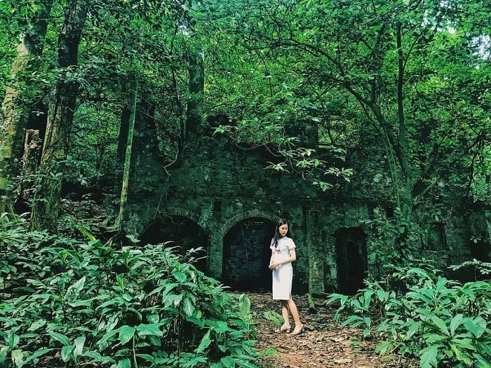 On the anniversary of Hung King's death anniversary, where should you go around Hanoi?  Ba Vi National Park - Place to hang out on Hung King's death anniversary