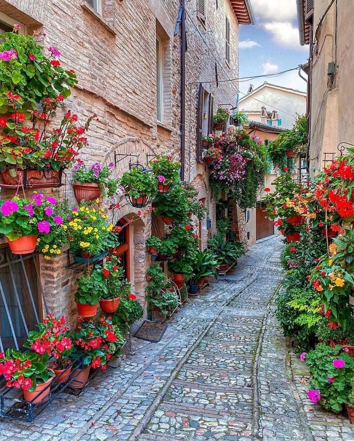 Hoa là đặc trưng của ngôi làng đáng yêu này - Những ngôi làng ít người biết ở Ý