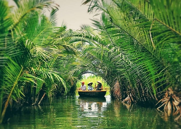  rừng dừa nước ở Quảng Ngãi đẹp như họa