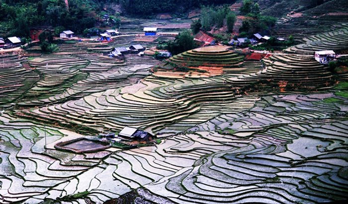 In May, travel somewhere in the North to Sapa