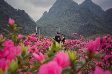 'Đứng ngồi không yên' trước vẻ đẹp của rừng hoa đỗ quyên ở Cao Bằng