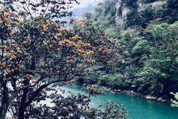 Một thoáng 'tiên cảnh' nơi sông Gâm Cao Bằng