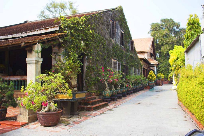 moss wall - virtual living corner at an old house over 120 years old in Tay Ninh