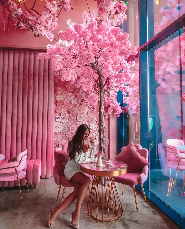 Saya Cafe nổi bật với màu hồng rực rỡ nơi chụp ảnh đẹp ở Dubai