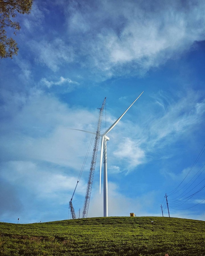 Experience exploring Cau Dat wind farm