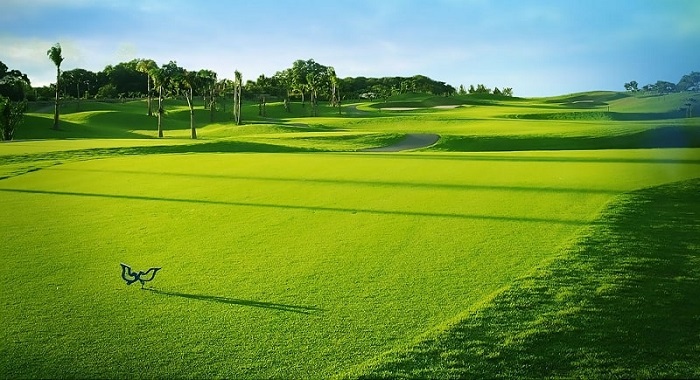  cȏng viȇո nước Thanh Lễ - sân golf