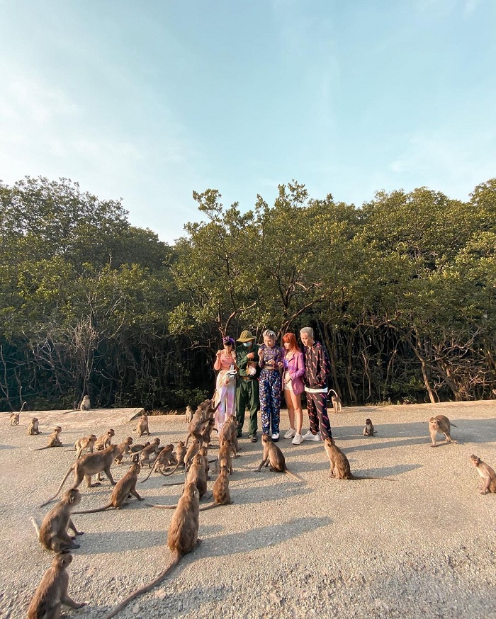 Cần Giờ cũng có đảo khỉ ở Việt Nam nổi tiếng
