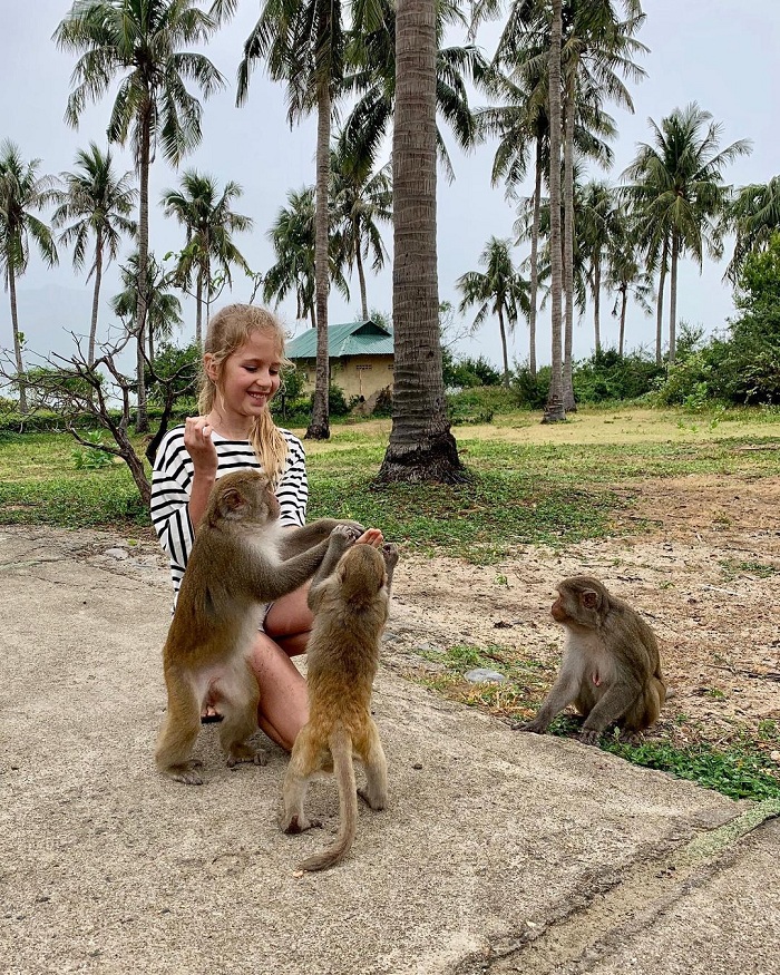Hòn Lao là đảo khỉ ở Việt Nam nổi tiếng