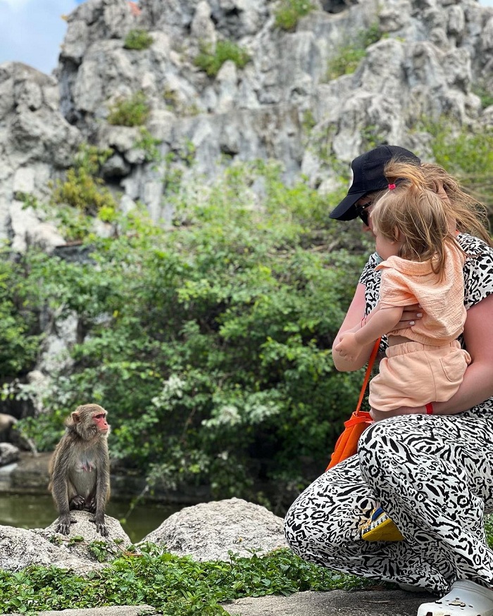 Hon Lao is a famous monkey island in Vietnam