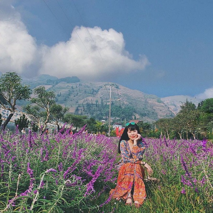 Thai Giang Pho flower valley is a beautiful destination in Bac Ha, Lao Cai
