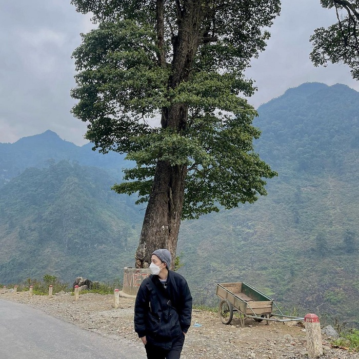 Lonely Tree is a destination in Quan Ba ​​Ha Giang