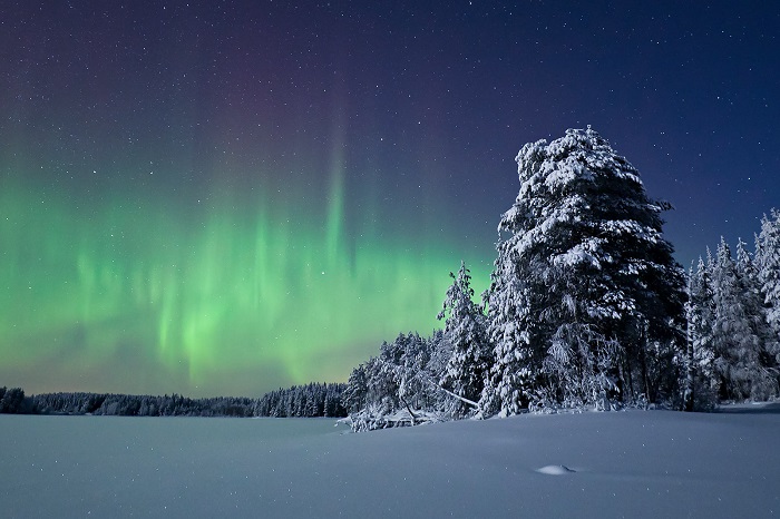 Wild Taiga Phần Lan vào mùa đông có thể thấy Bắc Cực Quang công viên quốc gia đẹp nhất Châu Âu