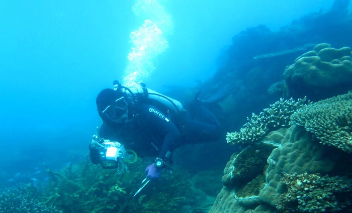 Hòn Tre Lớn ở Côn Đảo  - lặn biển ngắm san hô