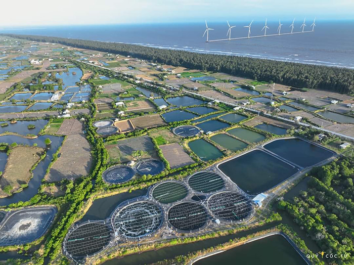 Check in Duyen Hai Tra Vinh wind power - Green labyrinth
