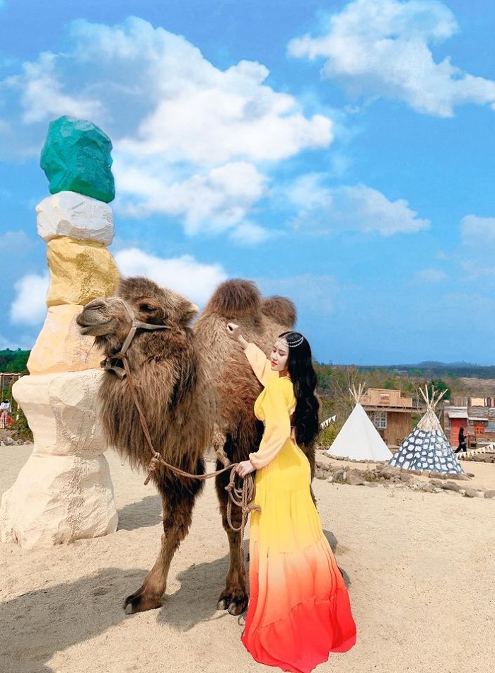 Lee's Hill Side is a lovely camel farm in Vietnam