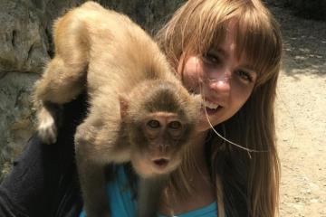 Những đảo khỉ ở Việt Nam vừa chơi vừa ‘thót tim’ vì những đàn khỉ tinh nghịch