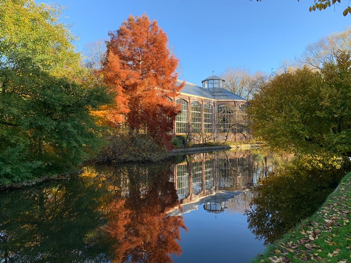 Vườn thực vật Hortus Amsterdam tràn ngập màu sắc vào mùa thu