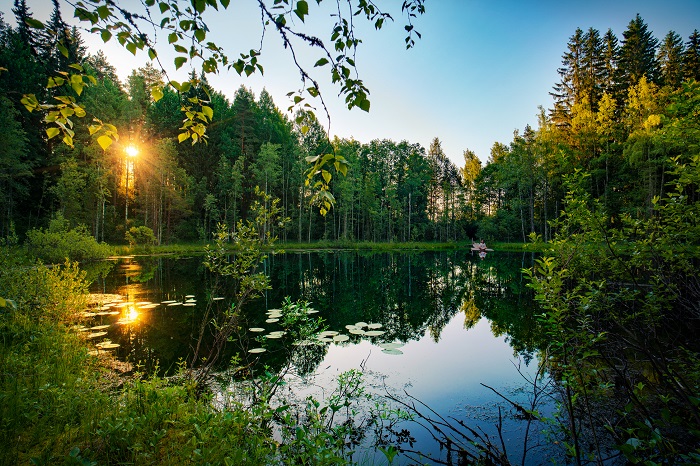Hồ Päijänne - Trải nghiệm du lịch Lahti Phần Lan